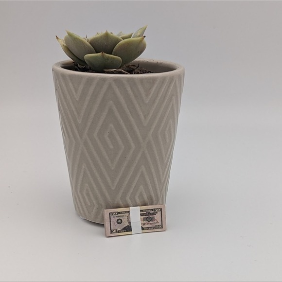 Zuru Mini Brands $50 Fifty Dollar Bills Stack Toy Money - Picture 1 of 3